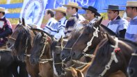El cuarto toro de la Final de Rodeos Para Criadores 2016 El cuarto toro de la Final de Rodeos Para Criadores 2016