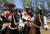 Luis Huenchul: Colchagua es competitiva, cuesta ganarse el premio de mejor jinete Luis Huenchul: Colchagua es competitiva, cuesta ganarse el premio de mejor jinete