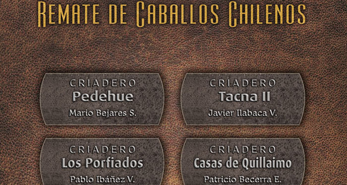 Pedehue, Tacna II, Los Porfiados y Casas de Quillaimo tienen remate