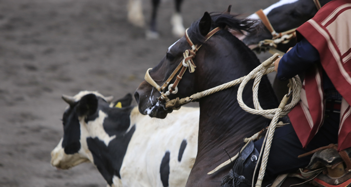 Cuerpo de Jurados se reúne este fin de semana de cara a la Temporada Grande