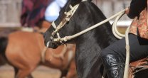 Lo mejor del Rodeo de los Dirigentes en imágenes Lo mejor del Rodeo de los Dirigentes en imágenes