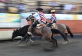 La Serie de Campeones del Nacional Escolar 2016 La Serie de Campeones del Nacional Escolar 2016