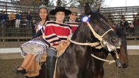 Los campeones nacionales escolares: A medida que pasaron los toros corrimos mejor Los campeones nacionales escolares: A medida que pasaron los toros corrimos mejor