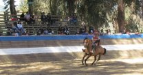 El Club San Vicente de Tagua-Tagua vivió provechosa jornada junto a El Club San Vicente de Tagua-Tagua vivió provechosa jornada junto a