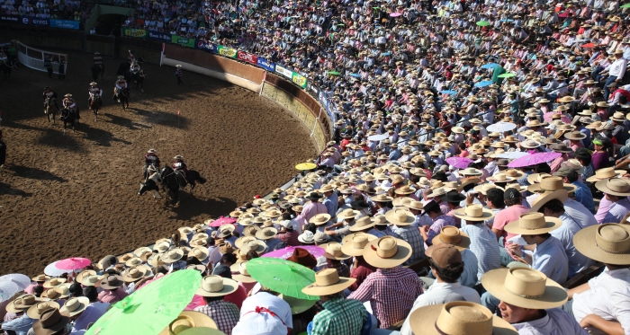 Federación del Rodeo Chileno se reunió con ministra del Deporte Natalia Riffo