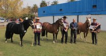 Expo Talca, un apronte para la gran fiesta de los criadores Expo Talca, un apronte para la gran fiesta de los criadores