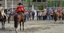 Taller de Funcionalidad y Rienda para corraleros de Fenaro en Coquimbo Taller de Funcionalidad y Rienda para corraleros de Fenaro en Coquimbo