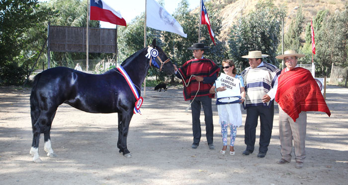 Expo Melipilla engalana este jueves feriado en Higueras de Puangue
