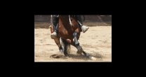 Carlos Moris Fuentes: Seguiré moviendo a Cuñada hasta completarla Carlos Moris Fuentes: Seguiré moviendo a Cuñada hasta completarla
