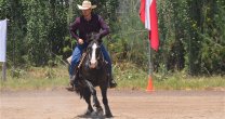 La Final de la Rienda Internacional a lomos de caballos chilenos La Final de la Rienda Internacional a lomos de caballos chilenos