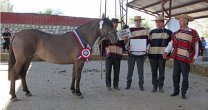 Criadores de Santiago sacaron positivas conclusiones tras su doble evento Criadores de Santiago sacaron positivas conclusiones tras su doble evento