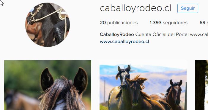 Caballoyrodeo.cl está en Instagram con atractivas imágenes
