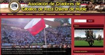 Pleno éxito de página web de criadores de Ñuble Pleno éxito de página web de criadores de Ñuble