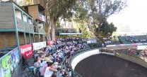 Acreditaciones de prensa para Exposición Nacional y Final de Criadores Acreditaciones de prensa para Exposición Nacional y Final de Criadores