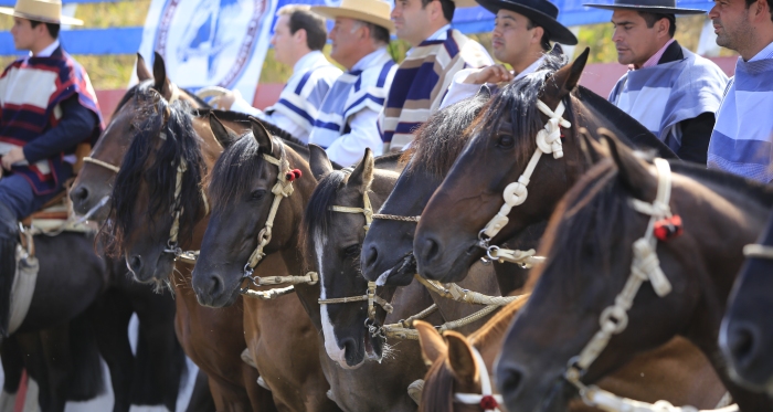 Programa Expo Nacional y Final de Rodeos Para Criadores 2017