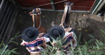 Listado actualizado de colleras inscritas en la Final de Rodeos para Criadores 2017 Listado actualizado de colleras inscritas en la Final de Rodeos para Criadores 2017