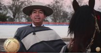 Juan Valderrama dejó lista a Gallanura para el Movimiento a la Rienda de los Clasificatorios 2017 Juan Valderrama dejó lista a Gallanura para el Movimiento a la Rienda de los Clasificatorios 2017