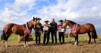 Federación de Criadores confirmó la terna de jurados para la Expo Nacional Federación de Criadores confirmó la terna de jurados para la Expo Nacional