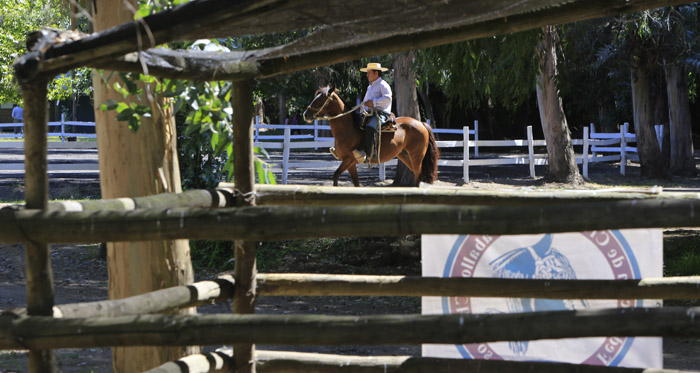 En San Clemente cuentan las horas para que parta la Expo Nacional y la Final de Rodeos Para Criadores