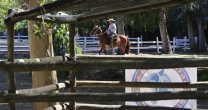 En San Clemente cuentan las horas para que parta la Expo Nacional y la Final de Rodeos Para Criadores En San Clemente cuentan las horas para que parta la Expo Nacional y la Final de Rodeos Para Criadores