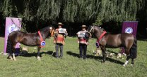 Monarca y Emboscada fueron elegidos los Mejores Ejemplares de la Raza en la Expo Nacional 2017 Monarca y Emboscada fueron elegidos los Mejores Ejemplares de la Raza en la Expo Nacional 2017