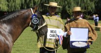 Los Grandes Premios de la Exposición Nacional San Clemente 2017 Los Grandes Premios de la Exposición Nacional San Clemente 2017