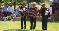 Jurados destacaron alto nivel de caballos participantes en Exposición Nacional Jurados destacaron alto nivel de caballos participantes en Exposición Nacional