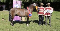 Gustavo Soto se lució con su Rosa del Carmen Monarca: Gustavo Soto se lució con su Rosa del Carmen Monarca: