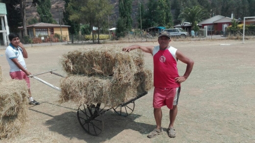 Imagen foto_00000001