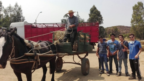 Imagen foto_00000002