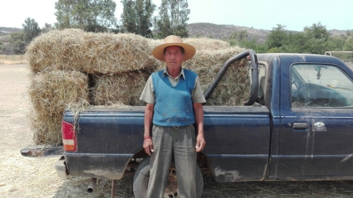 Imagen foto_00000004