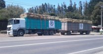 Carta de agradecimiento e incentivo a Asociaciones de Criadores de Caballos Chilenos Carta de agradecimiento e incentivo a Asociaciones de Criadores de Caballos Chilenos