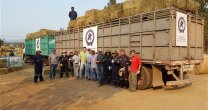Criadores siguen sumando y entregando ayuda en su campaña solidaria Criadores siguen sumando y entregando ayuda en su campaña solidaria