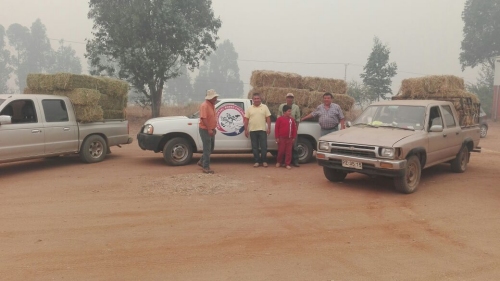 Imagen foto_00000006