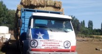 Hasta Portezuelo y San Nicolás llegaron aportes de los Criadores de Ñuble Hasta Portezuelo y San Nicolás llegaron aportes de los Criadores de Ñuble