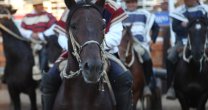 En Frutillar se juegan seis binomios su opción para clasificar a la Rienda en Rancagua En Frutillar se juegan seis binomios su opción para clasificar a la Rienda en Rancagua