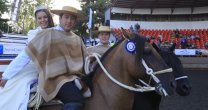 René Fernández y sus potros: René Fernández y sus potros: