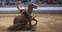 Romané Soto: Feliz de representar al Doña Dominga en Rancagua con una yegua criada Romané Soto: Feliz de representar al Doña Dominga en Rancagua con una yegua criada