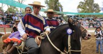Alfredo Moreno: Estamos felices de ir a Rancagua con esta collera, a la que le tenemos mucho cariño Alfredo Moreno: Estamos felices de ir a Rancagua con esta collera, a la que le tenemos mucho cariño