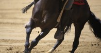 La clasificación de Juan Peña y Juan Valderrama a la Final de la Rienda La clasificación de Juan Peña y Juan Valderrama a la Final de la Rienda