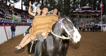 Pacheco y Undurraga, de una sufrida clasificación a la gloria en Pemuco Pacheco y Undurraga, de una sufrida clasificación a la gloria en Pemuco
