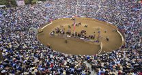 Este jueves se efectuará el lanzamiento del 69° Campeonato Nacional de Rodeo Este jueves se efectuará el lanzamiento del 69° Campeonato Nacional de Rodeo