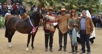 Federación de Criadores hará su XV Muestra de Grandes Campeones en Rancagua Federación de Criadores hará su XV Muestra de Grandes Campeones en Rancagua