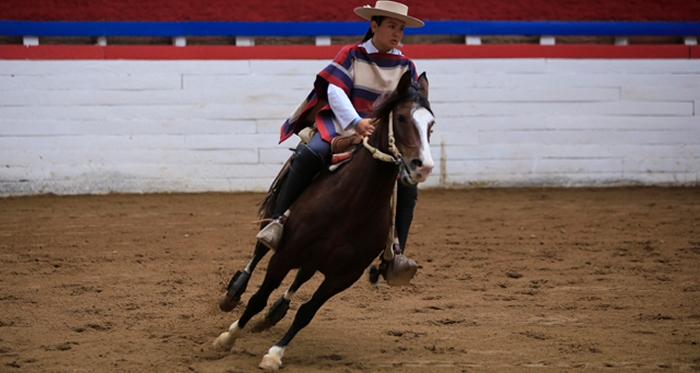 Protagonistas proyectan Final de la Rienda Femenina en Rancagua