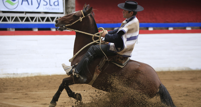 Final Nacional de la Rienda Masculina estará muy competitiva