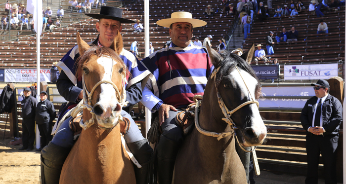 Palmas de Peñaflor festejó primero que todos al ganar la Serie Caballos