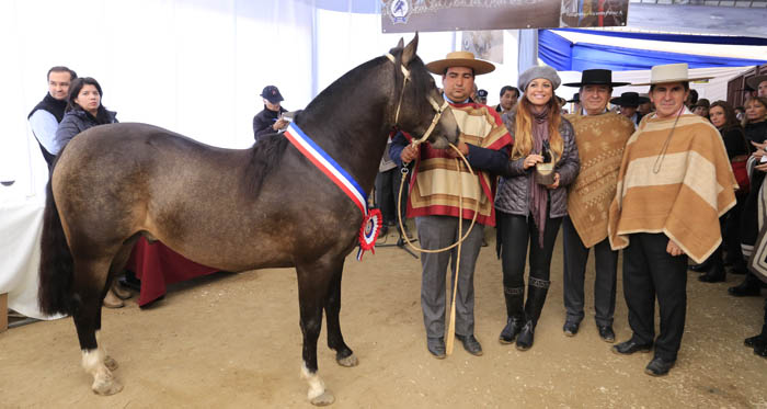 Día del Criador tuvo gran convocatoria en la Monumental de Rancagua