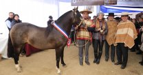 Día del Criador tuvo gran convocatoria en la Monumental de Rancagua Día del Criador tuvo gran convocatoria en la Monumental de Rancagua