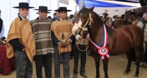 El Día del Criador se celebró con importantes reconocimientos El Día del Criador se celebró con importantes reconocimientos