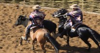 Ferochi recopila firmas en el Campeonato Nacional a favor del rodeo Ferochi recopila firmas en el Campeonato Nacional a favor del rodeo